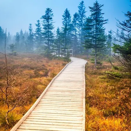 Alfa Klinovec Loučná pod Klínovcem