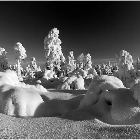 Διαμέρισμα Alfa Klinovec Loučná pod Klínovcem
