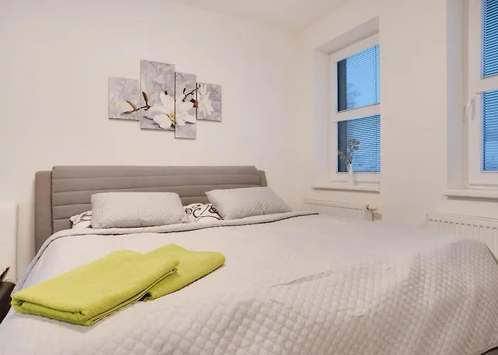 Alfa Klínovec Apartmán *