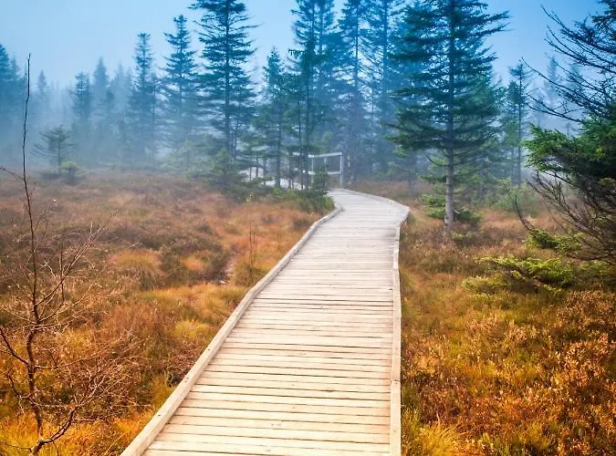 Alfa Klinovec Лоучна-под-Клиновцем