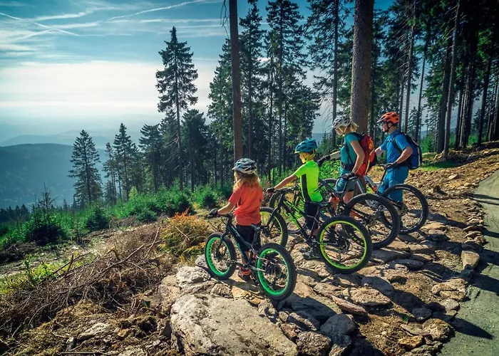 Alfa Klínovec Apartmán