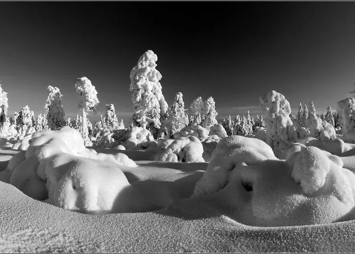 Апартаменты Alfa Klinovec Лоучна-под-Клиновцем